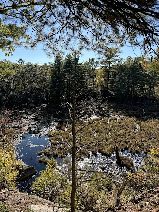 WMA Look Out Point Picture 3