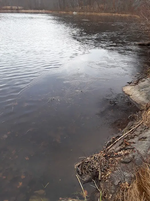 Russia Brook Sanctuary Picture 3