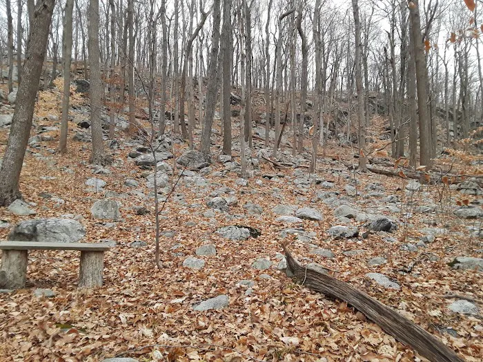 Russia Brook Sanctuary Picture 5
