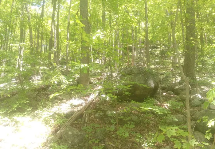 Russia Brook Sanctuary Picture 2