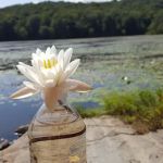 Russia Brook Sanctuary