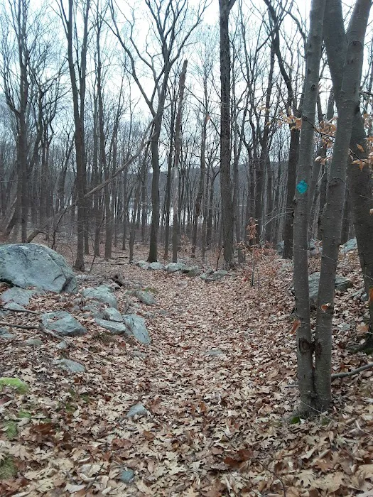 Russia Brook Sanctuary Picture 10