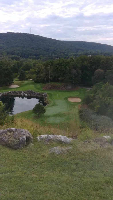 Village At Crystal Springs Picture 3