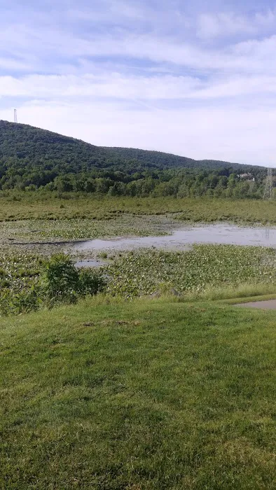 Village At Crystal Springs Picture 1
