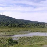 Village At Crystal Springs ico