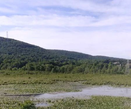 Village At Crystal Springs