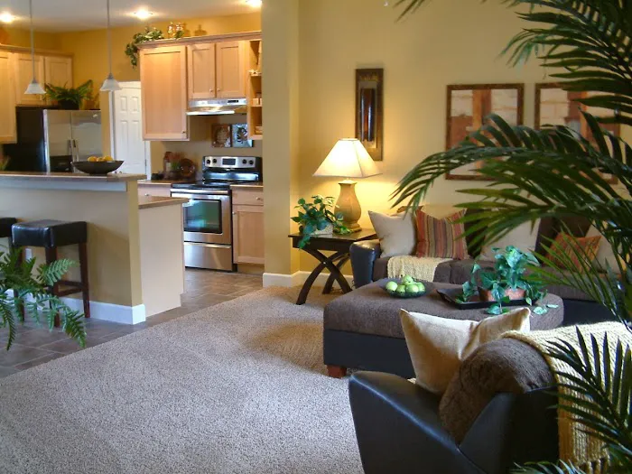 Brittany Terrace Picture 4