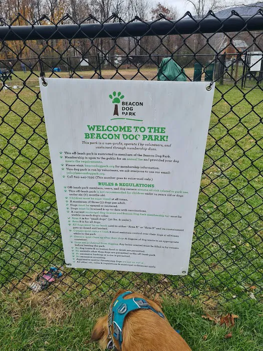 Friends of Beacon Dog Park Picture 7