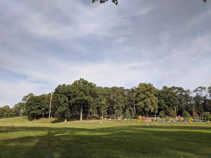 Friends of Beacon Dog Park Picture 10