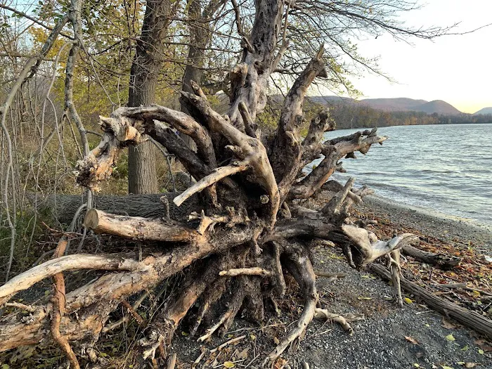Scenic Hudson's Long Dock Park Picture 10
