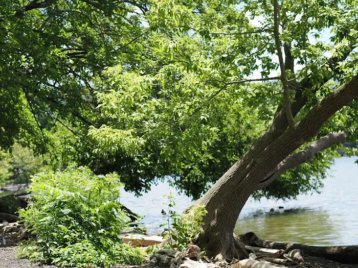 Scenic Hudson's Long Dock Park Picture 8