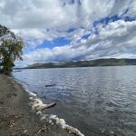 Plum Point Park