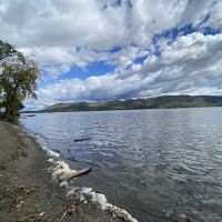 Plum Point Park ico