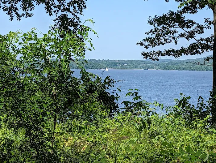 Plum Point Park Picture 10