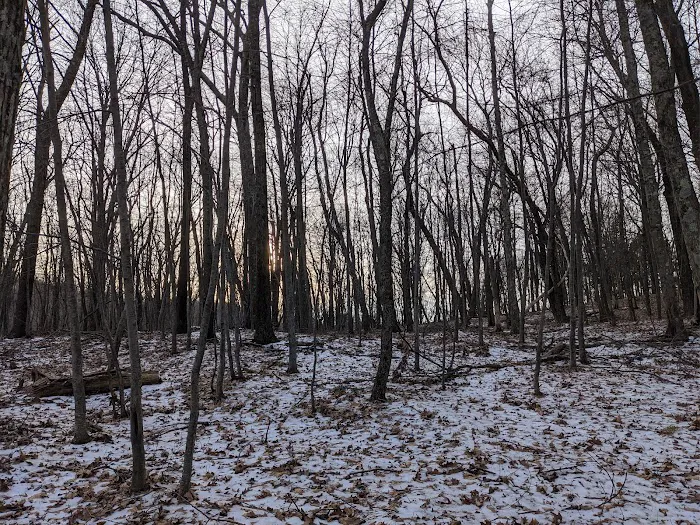 Tymor Park - Trail K Picture 4