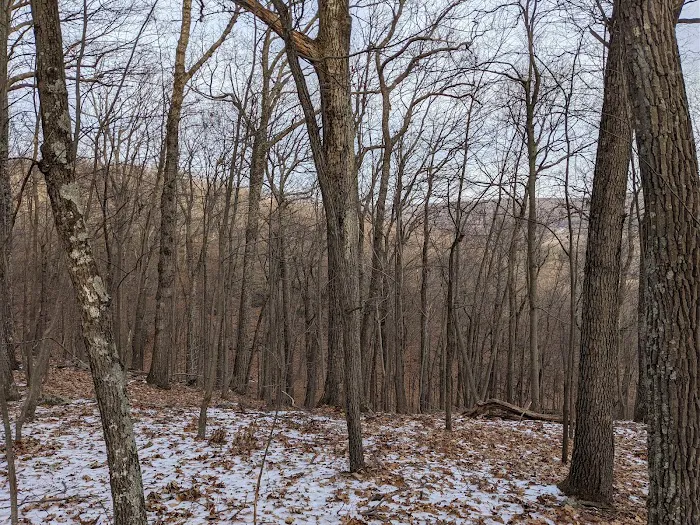 Tymor Park - Trail K Picture 2