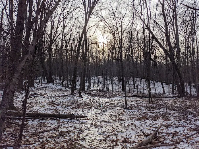 Tymor Park - Trail K Picture 9