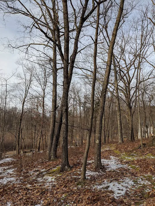 Tymor Park - Trail K Picture 3