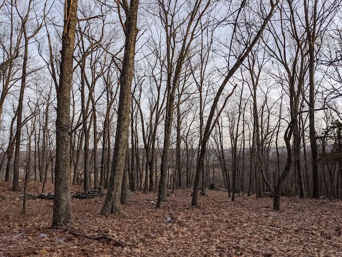 Tymor Park - Trail K Picture 6