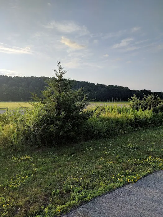Stringham Park Picture 5