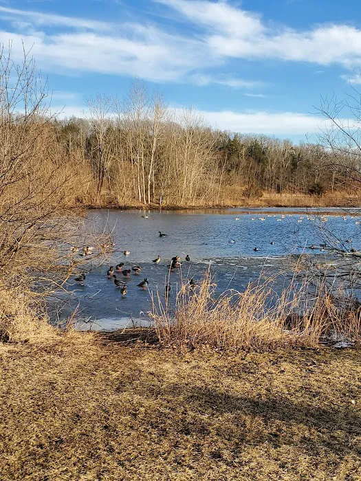 Stringham Park Picture 7