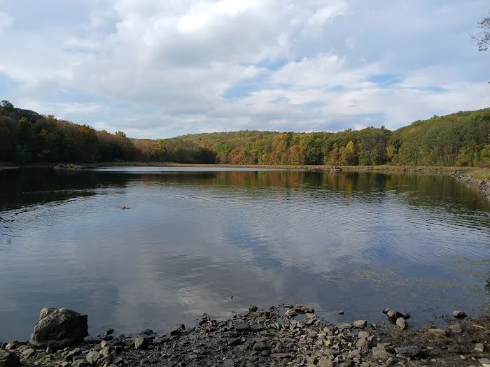 West Mountain State Forest Picture 2