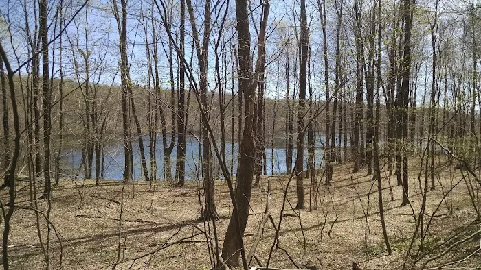 West Mountain State Forest Picture 6