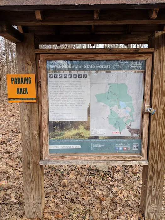 West Mountain State Forest Picture 4