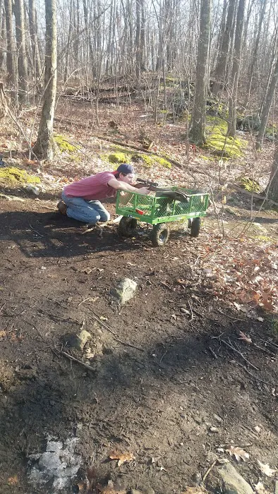 West Mountain State Forest Picture 10
