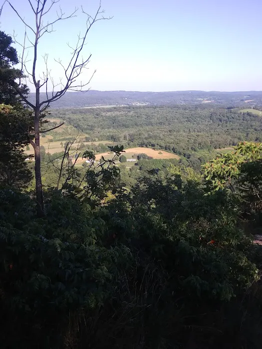West Mountain State Forest Picture 9