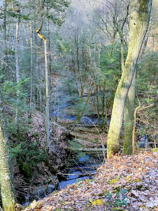 Pawling Nature Reserve Picture 2