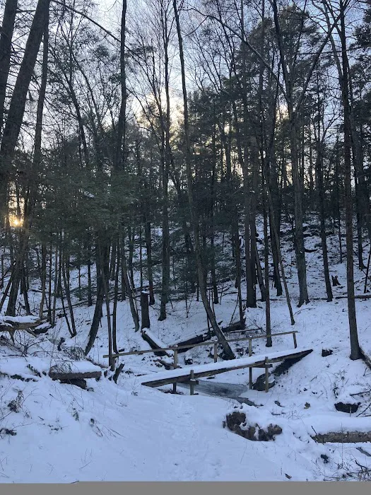 Pawling Nature Reserve Picture 1