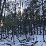 Pawling Nature Reserve
