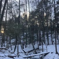 Pawling Nature Reserve ico