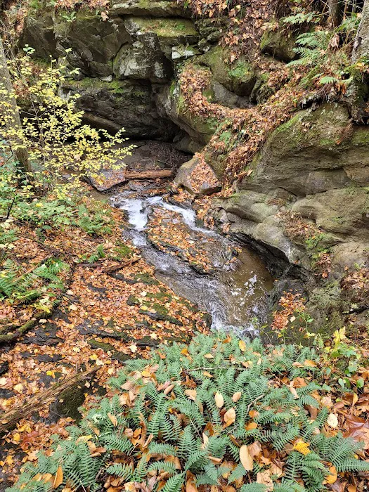 Pawling Nature Reserve Picture 7