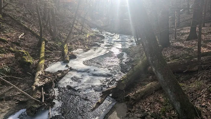 Pawling Nature Reserve Picture 8