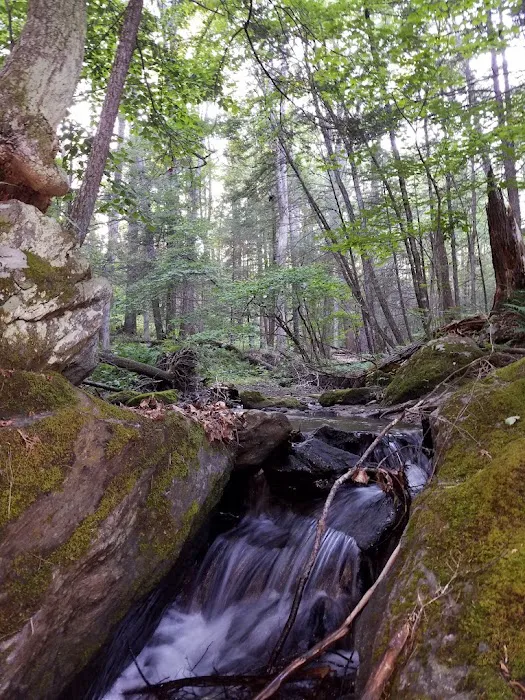 Pawling Nature Reserve Picture 4