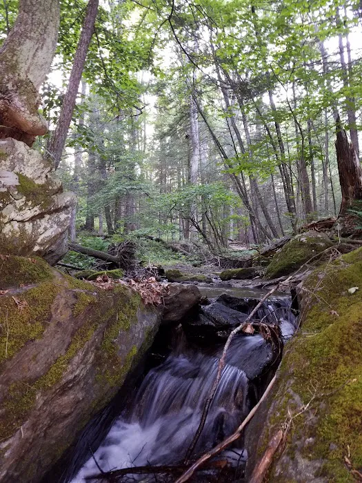 Pawling Nature Reserve Picture 10