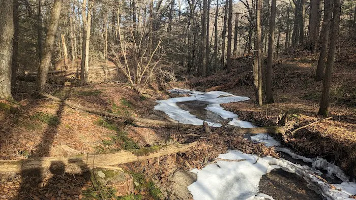 Pawling Nature Reserve Picture 9