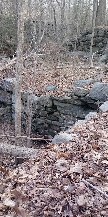 Orchard Hill Nature Center Picture 6