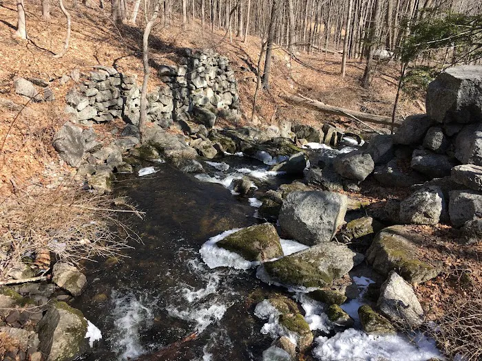 Orchard Hill Nature Center Picture 1