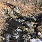 Orchard Hill Nature Center