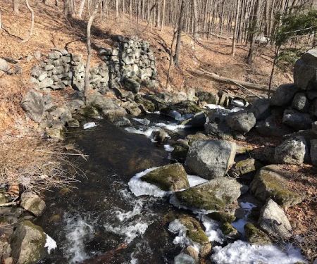 Orchard Hill Nature Center
