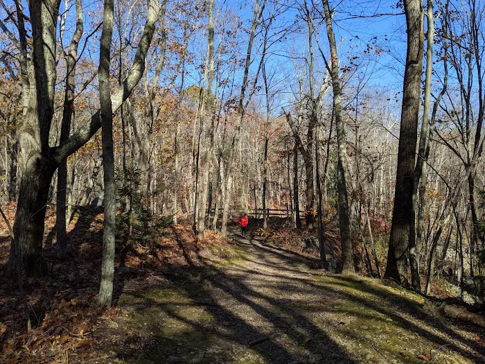 Orchard Hill Nature Center Picture 2