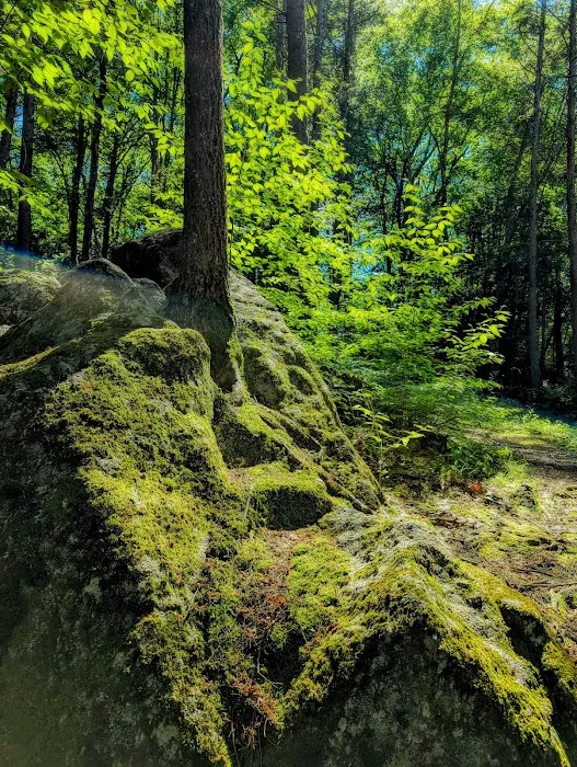 Orchard Hill Nature Center Picture 8