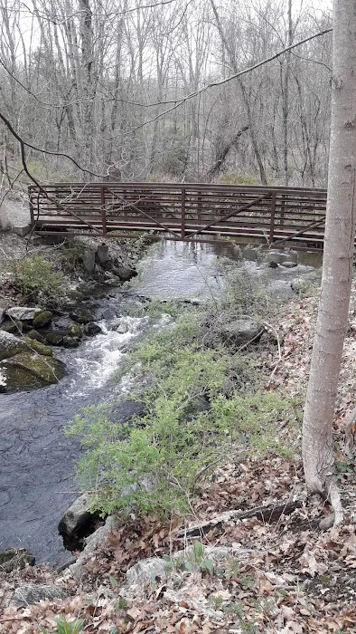 Orchard Hill Nature Center Picture 5