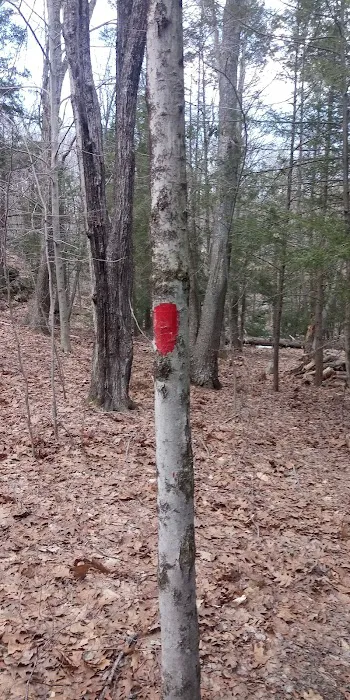 Orchard Hill Nature Center Picture 10
