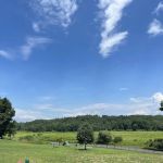 Newtown Park & Bark