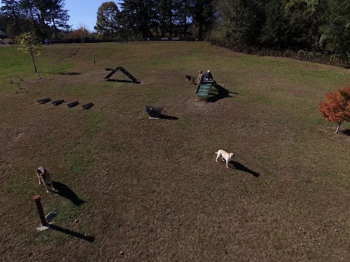 Newtown Park & Bark Picture 8