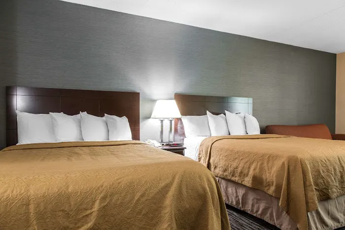 Quality Inn & Suites Danbury near University Picture 5